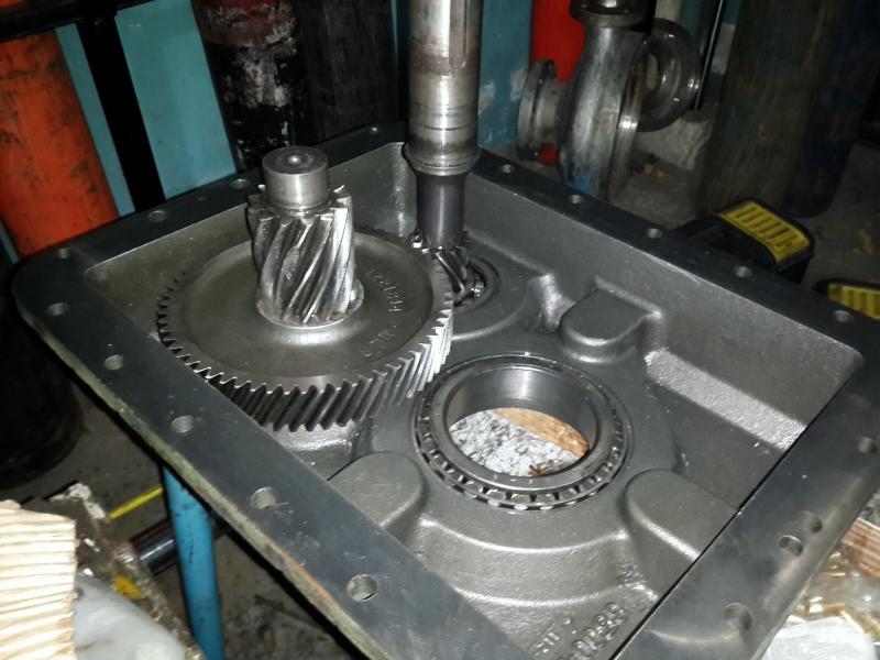 Restauración reductor de trituradora de cartón